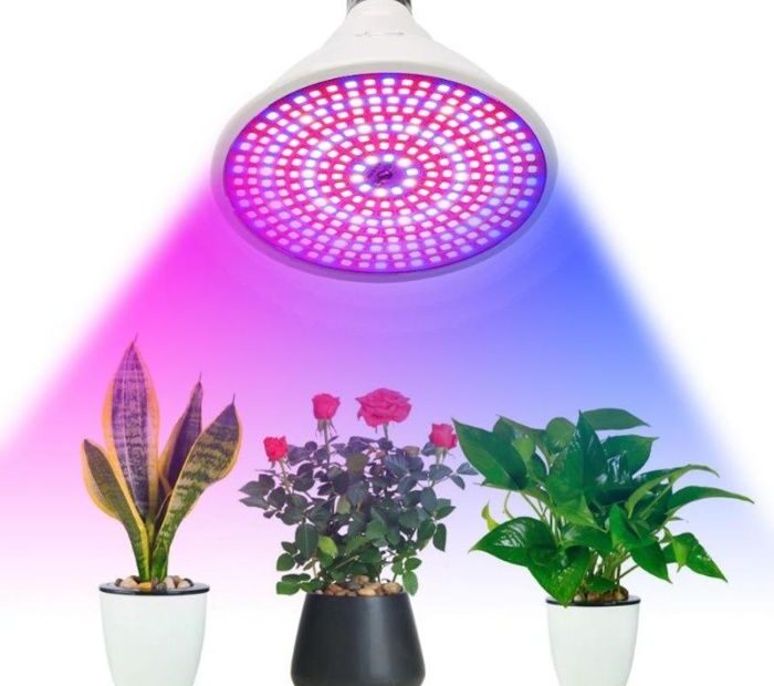 Лампи за растения